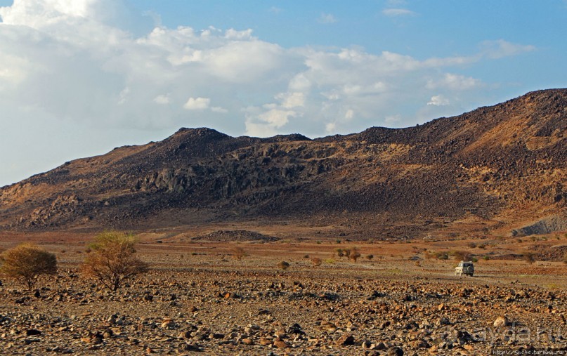 Картинки из Джибути