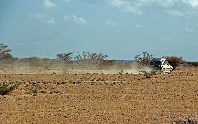 Картинки из Джибути