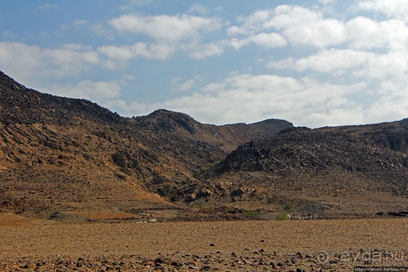 Картинки из Джибути