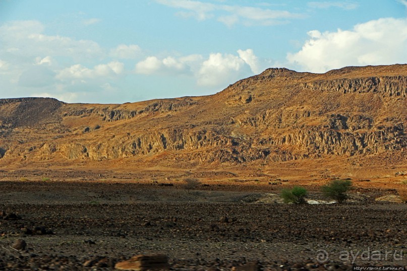 Картинки из Джибути