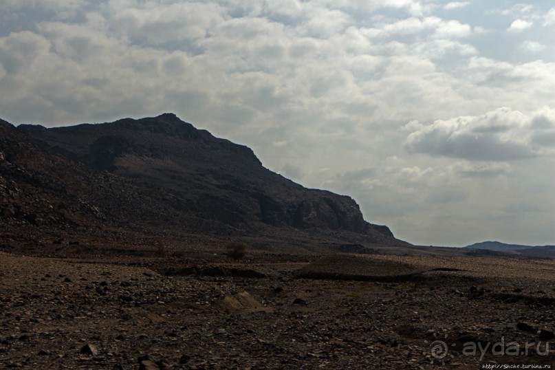 Картинки из Джибути