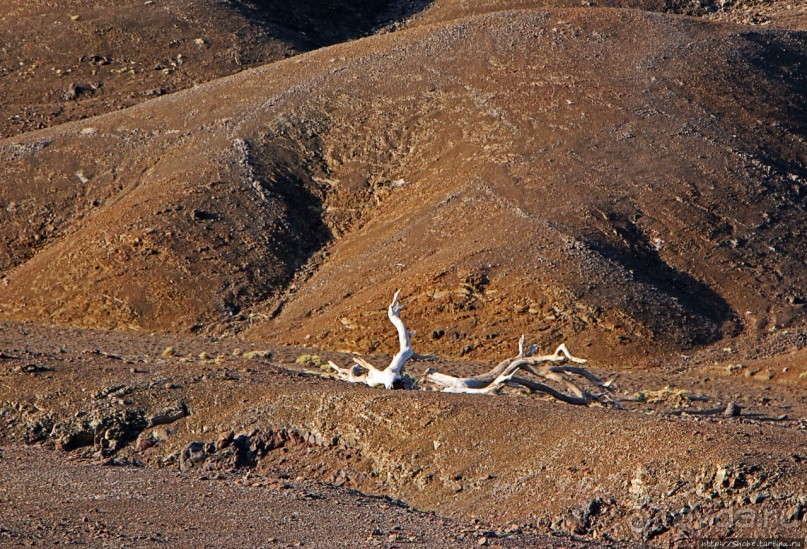 Картинки из Джибути