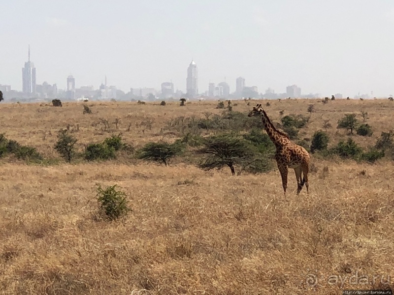 Прибыли в Кению в «Маленький Рай»