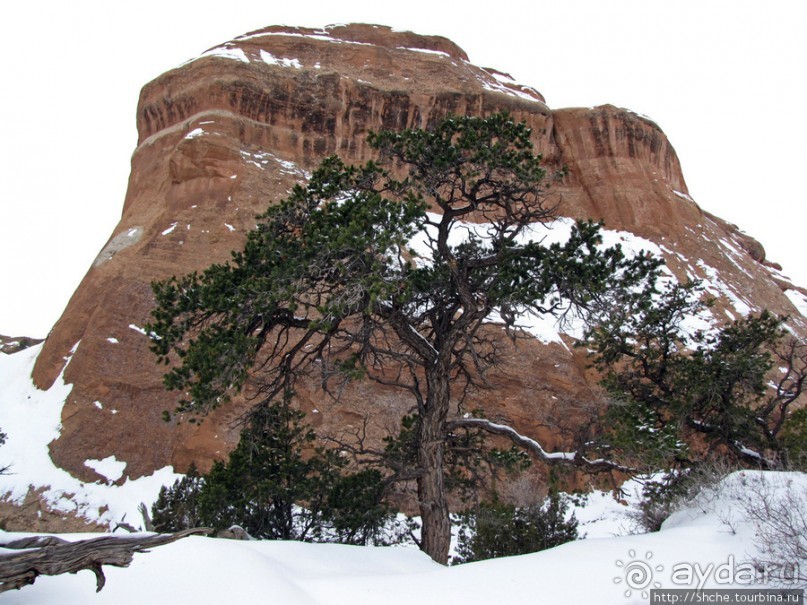 Ландшафтная Арка, Дьявольский Сад- не часто посещаемые. Зря!