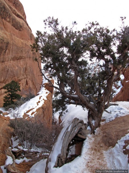 Ландшафтная Арка, Дьявольский Сад- не часто посещаемые. Зря!