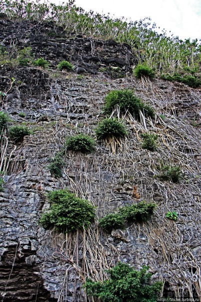 Вертикальные сады парка Вайниха, плюс небольшая пещера