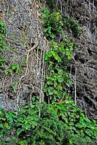 Вертикальные сады парка Вайниха, плюс небольшая пещера