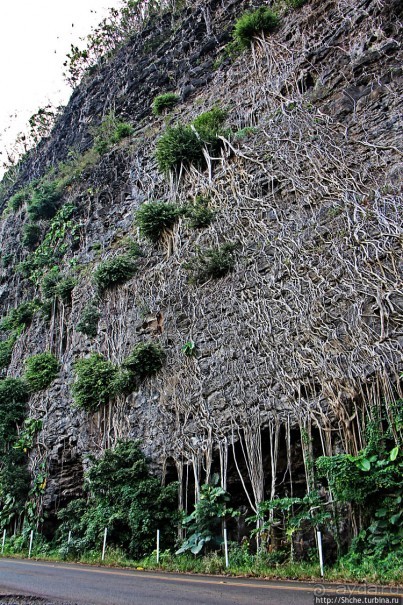 Вертикальные сады парка Вайниха, плюс небольшая пещера