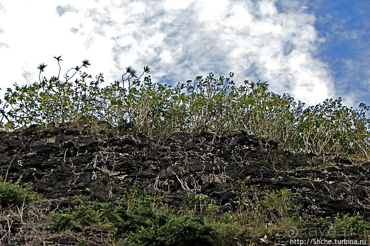 Вертикальные сады парка Вайниха, плюс небольшая пещера