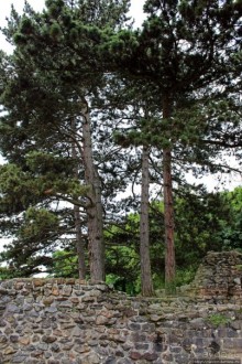 Античный театр в Лугдуне (современном Лионе)