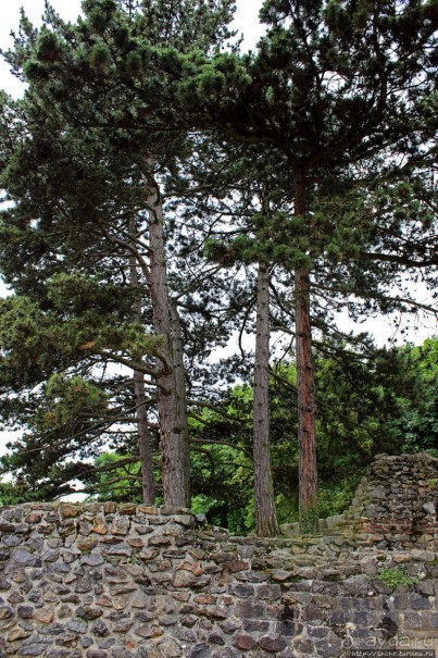 Античный театр в Лугдуне (современном Лионе)