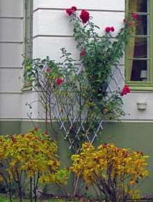 По нетопаным тропам ... Фрогнер — нетуристический Осло