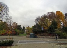 По нетопаным тропам ... Фрогнер — нетуристический Осло