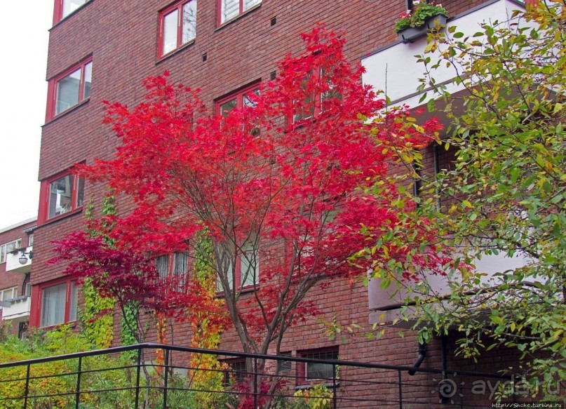 По нетопаным тропам ... Фрогнер — нетуристический Осло