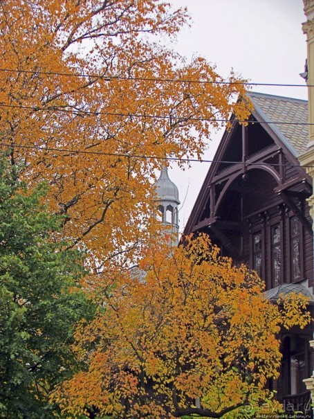 По нетопаным тропам ... Фрогнер — нетуристический Осло