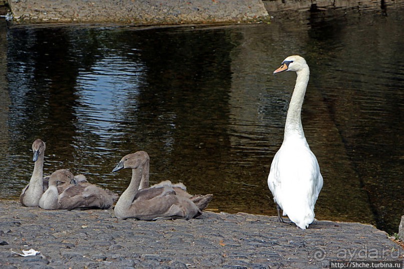 Замок Кэр — скромный красавец