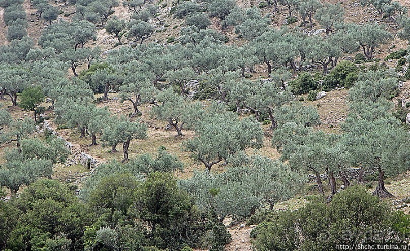 Родопы — это не только болгарские сигареты