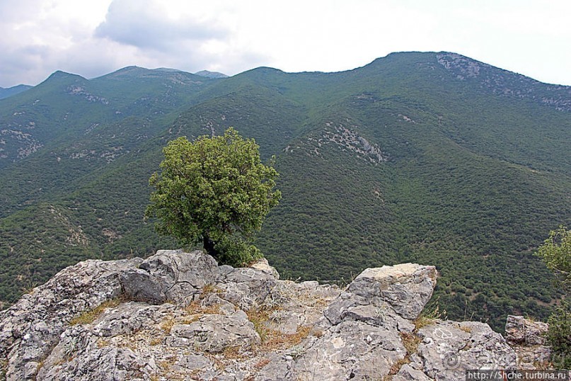 Родопы — это не только болгарские сигареты