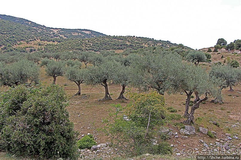 Родопы — это не только болгарские сигареты