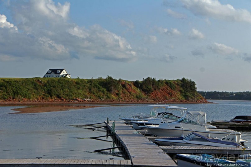 Много в ней лесов, полей и ... полей среди лесов:)
