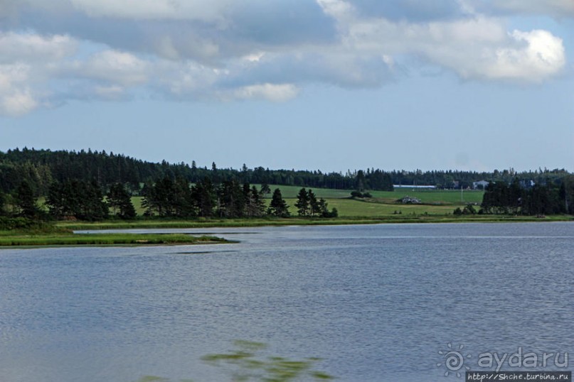 Много в ней лесов, полей и ... полей среди лесов:)