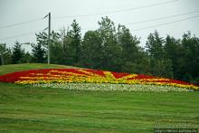 Много в ней лесов, полей и ... полей среди лесов:)