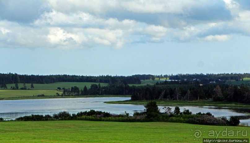 Много в ней лесов, полей и ... полей среди лесов:)