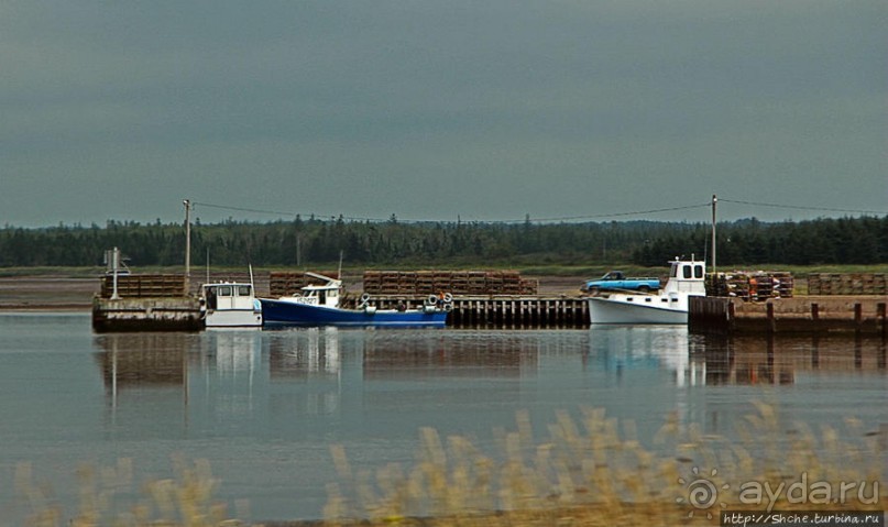 Много в ней лесов, полей и ... полей среди лесов:)