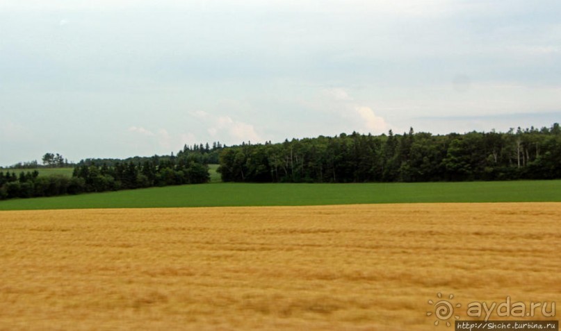 Много в ней лесов, полей и ... полей среди лесов:)