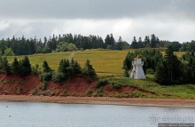 Много в ней лесов, полей и ... полей среди лесов:)