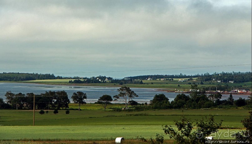 Много в ней лесов, полей и ... полей среди лесов:)