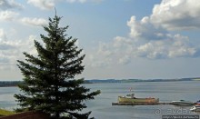 Много в ней лесов, полей и ... полей среди лесов:)