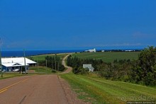 Много в ней лесов, полей и ... полей среди лесов:)