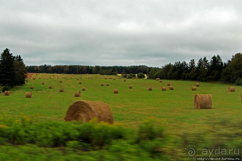 Много в ней лесов, полей и ... полей среди лесов:)