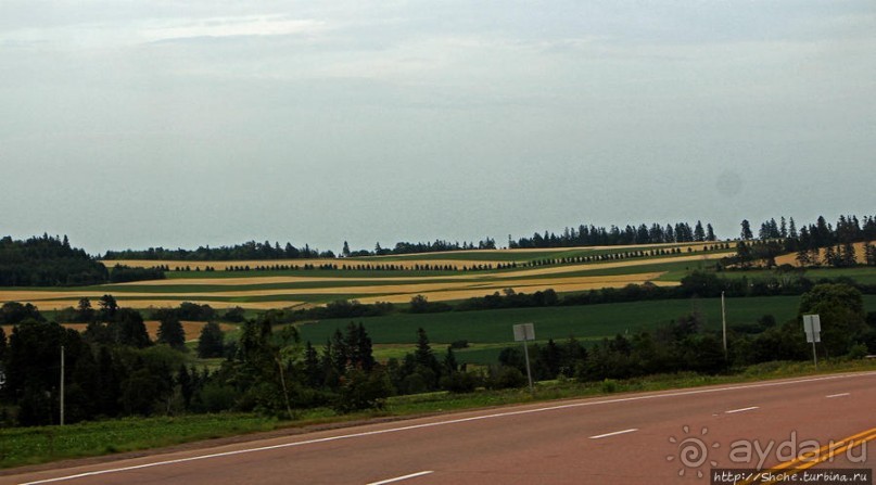 Много в ней лесов, полей и ... полей среди лесов:)