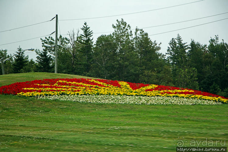 Много в ней лесов, полей и ... полей среди лесов:)