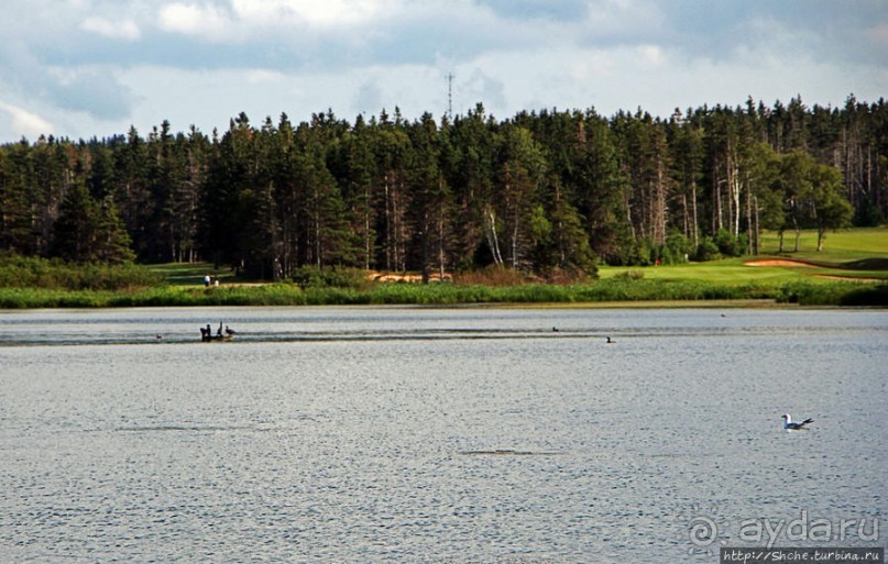 Много в ней лесов, полей и ... полей среди лесов:)