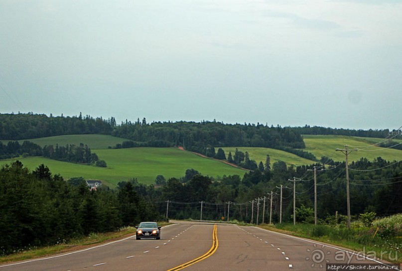 Много в ней лесов, полей и ... полей среди лесов:)