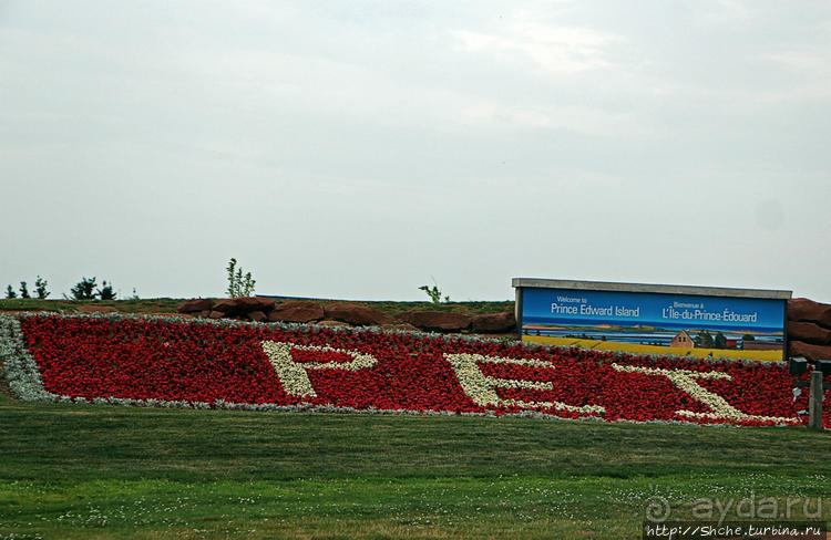Много в ней лесов, полей и ... полей среди лесов:)