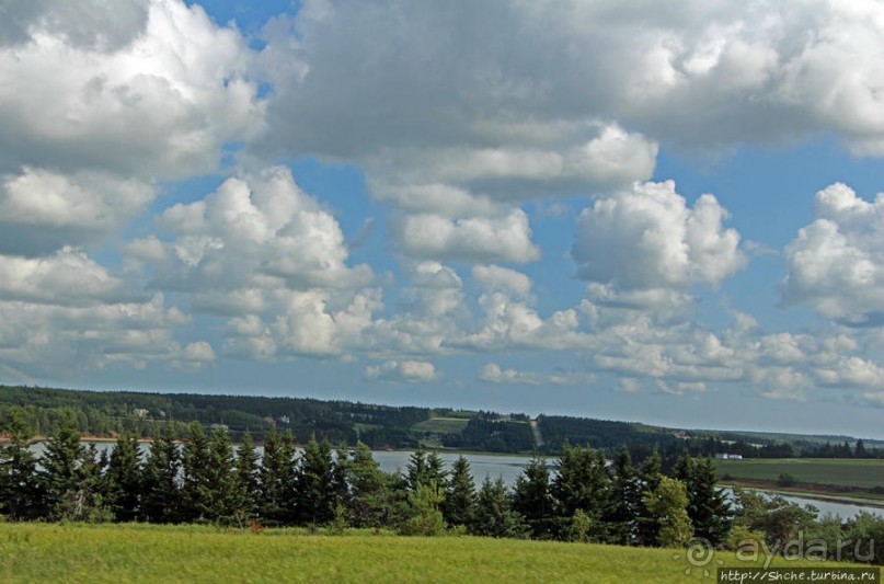 Много в ней лесов, полей и ... полей среди лесов:)