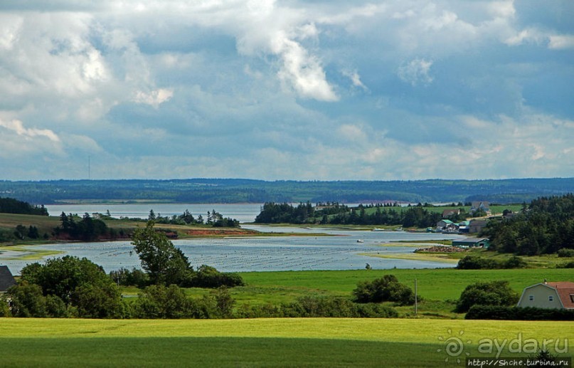 Много в ней лесов, полей и ... полей среди лесов:)