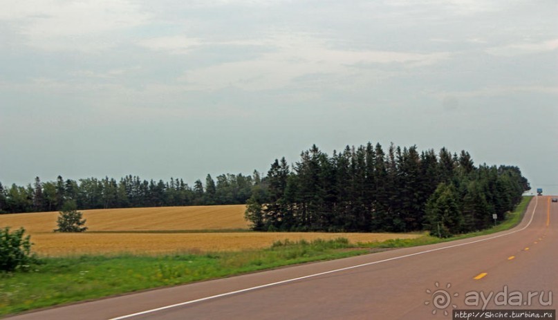 Много в ней лесов, полей и ... полей среди лесов:)