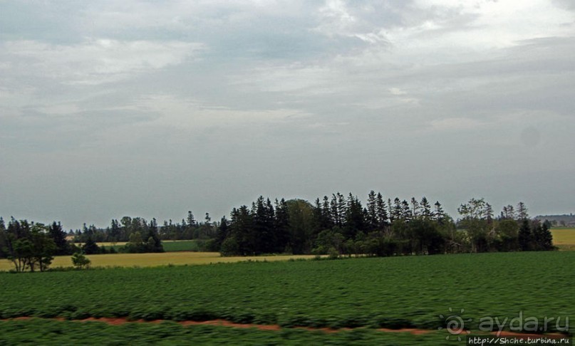 Много в ней лесов, полей и ... полей среди лесов:)