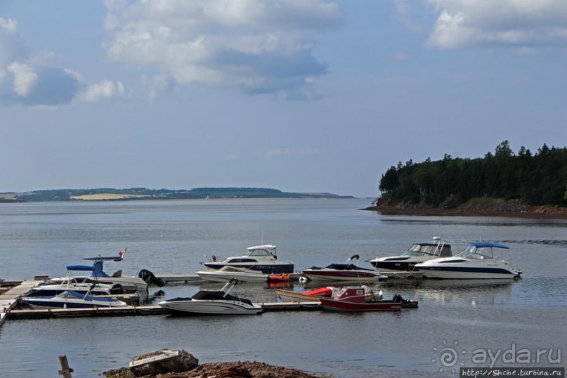 Много в ней лесов, полей и ... полей среди лесов:)