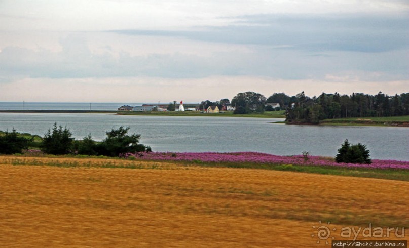 Много в ней лесов, полей и ... полей среди лесов:)
