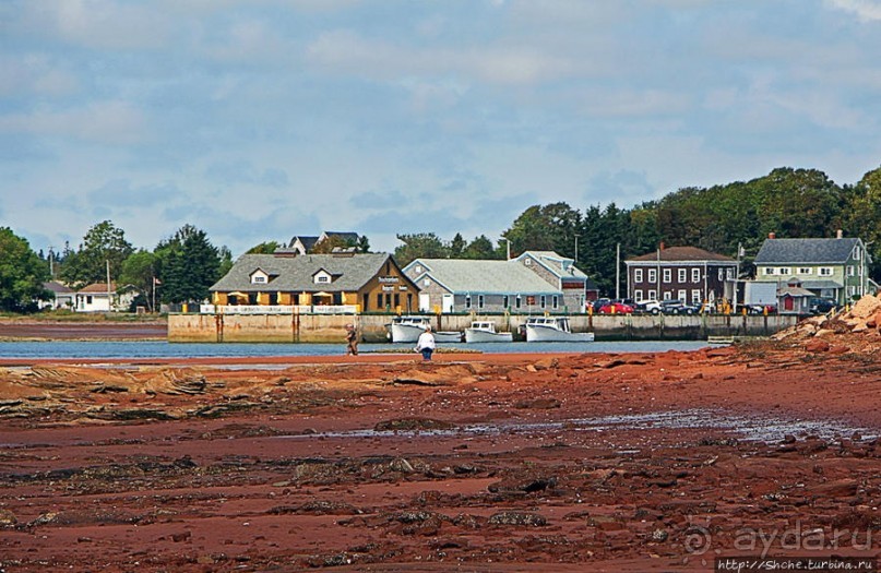 Много в ней лесов, полей и ... полей среди лесов:)