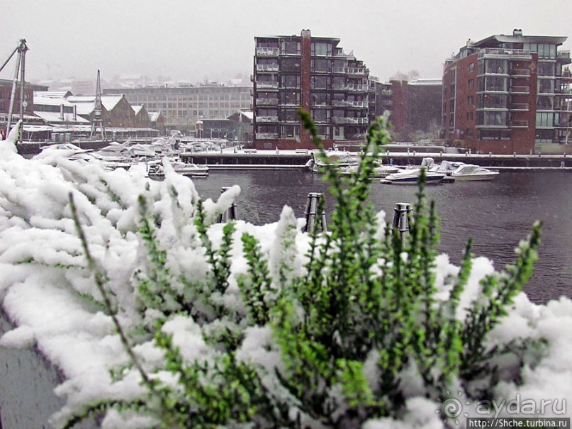 Каналы Русенборга. Припорошило снегом чутка...