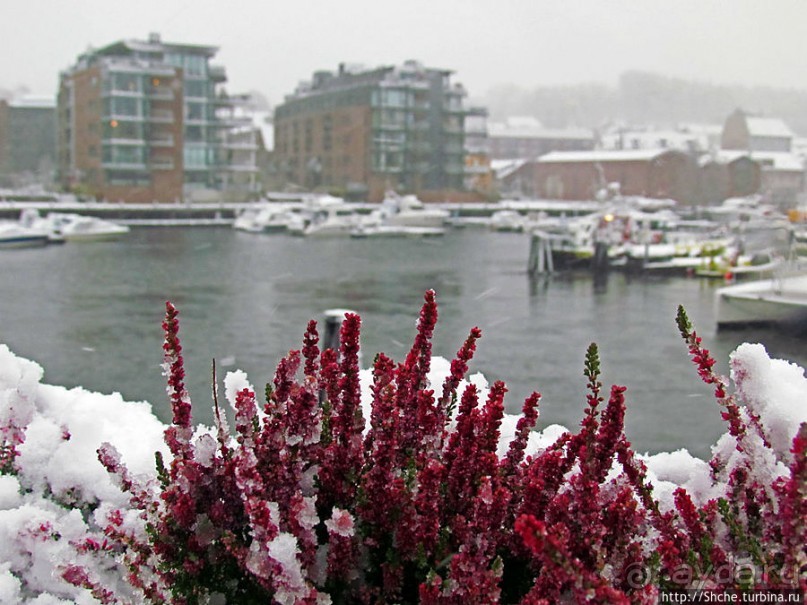 Каналы Русенборга. Припорошило снегом чутка...