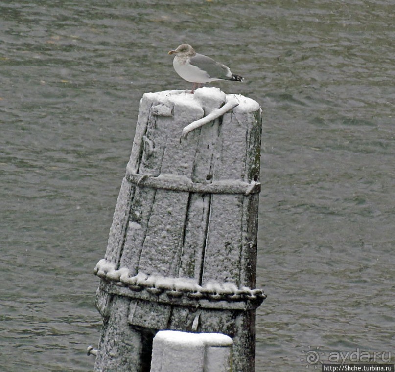 Каналы Русенборга. Припорошило снегом чутка...