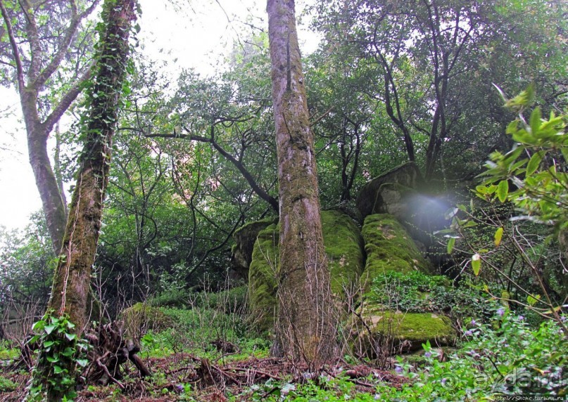 Мистерия дворцового парка